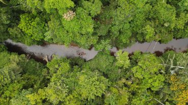 TAMBOPATA NACIONAL RESERVE